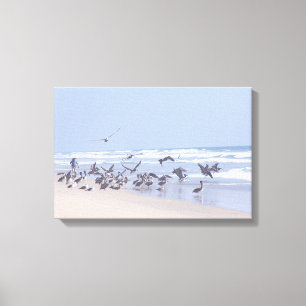 Pelican Birds Wildlife Animals Ocean Canvas Print