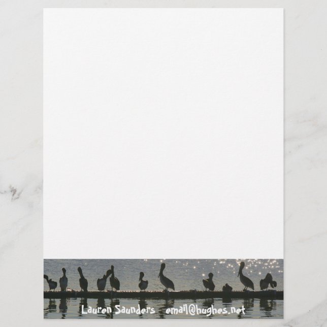 Pelican Birds Wildlife Animals Personalised Letterhead (Front)