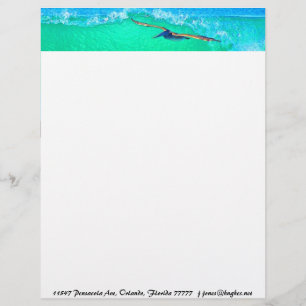 Pelican Birds Wildlife Animals Personalised Letterhead