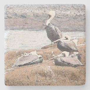 Pelican Birds Wildlife Animals Stone Coaster