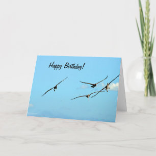 Pelican Birthday 1 Card