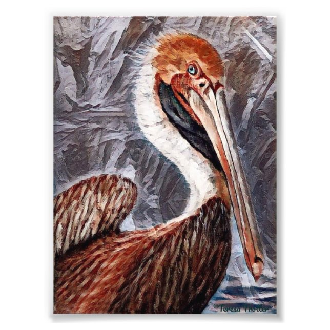 Pelican Brief Photo Print (Front)