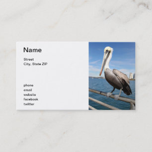 Pelican Business Card