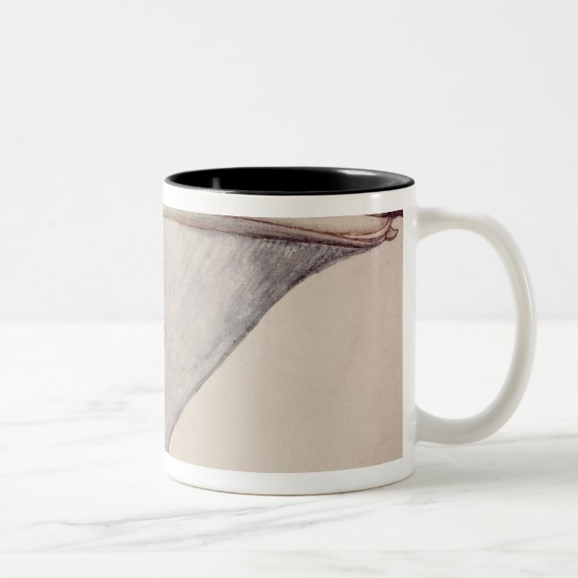 Pelican, c.1590 Two-Tone coffee mug (Right)