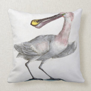 Pelican, c.1767-76 (hand coloured engraving) cushion
