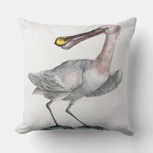 Pelican, c.1767-76 (hand coloured engraving) cushion (Front)