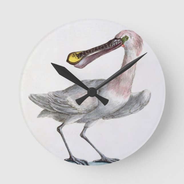 Pelican, c.1767-76 (hand coloured engraving) round clock (Front)