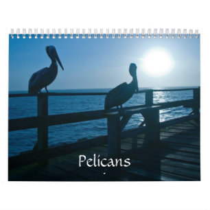 Pelican Calendar