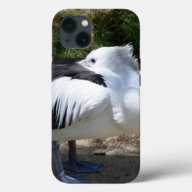 Pelican Cat Naps, iPhone 13 Case (Back)