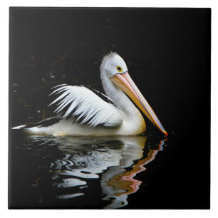 Pelican Ceramic Tile
