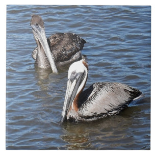 Pelican Ceramic Tile