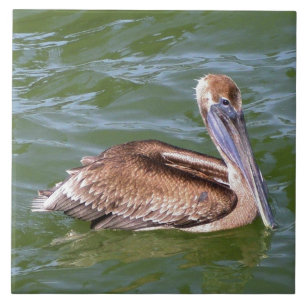 Pelican Ceramic Tile