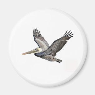 Pelican Clear Magnet