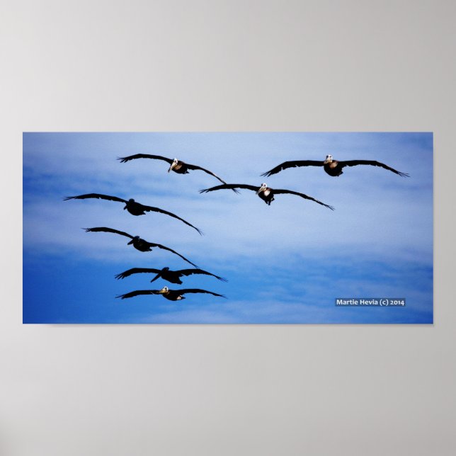 Pelican Cluster IV Poster (Front)