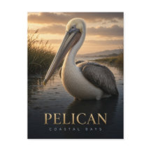 Pelican Coastal Bays Wildlife ANIMAL