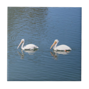 pelican couple tile