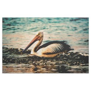 Pelican Fabric