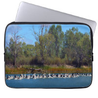 Pelican Fishing Frenzy, River Murray,