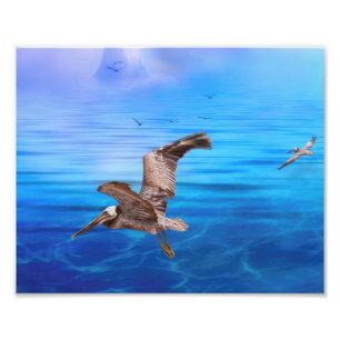 Pelican Flyby Island Sunset Photo Print