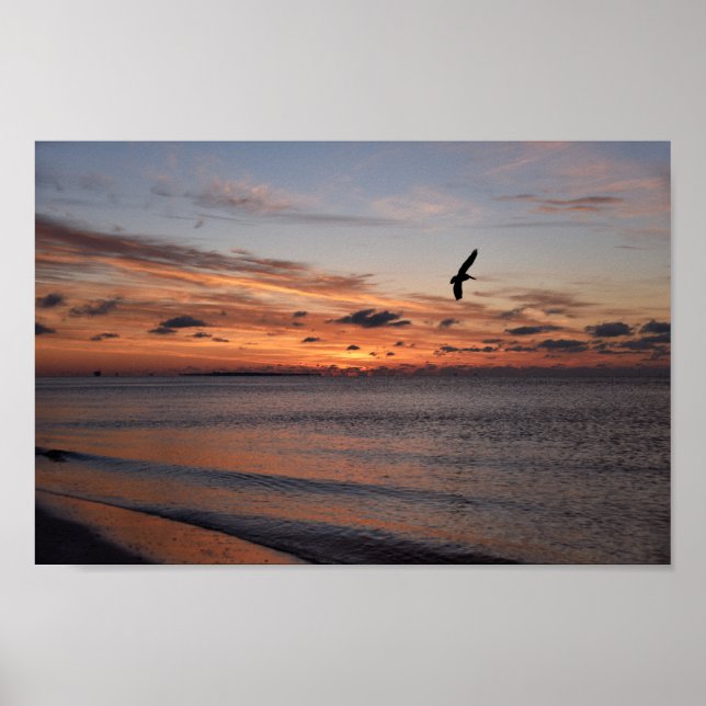 Pelican Flying at Sunrise, Dauphin Island, Alabama Poster (Front)