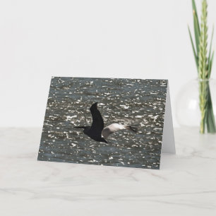 Pelican Flying Over Shimmering Lake Bafa Card