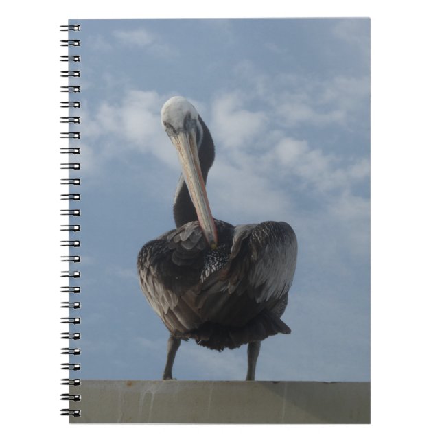 Pelican from Peru Notebook (Front)