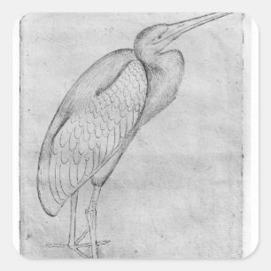 Pelican, from the The Vallardi Album Square Sticker