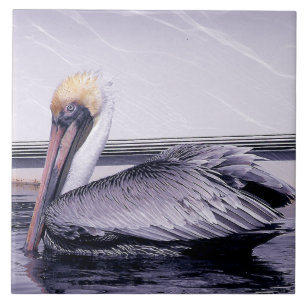 Pelican Gliding Ceramic Tile