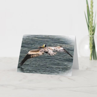 Pelican Greeting Card