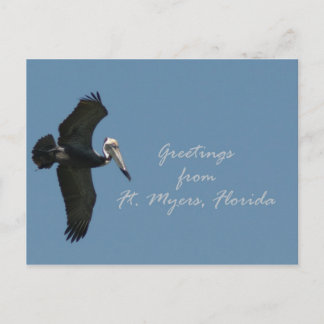 Pelican greetings from Ft. Myers Postcard