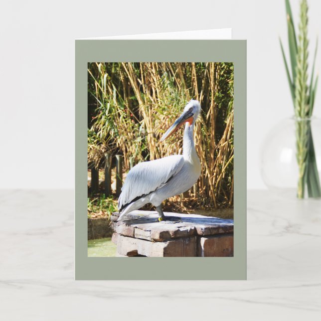 Pelican Holiday Card (Front)