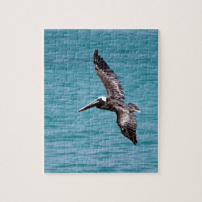 Pelican in flight jigsaw puzzle (Vertical)