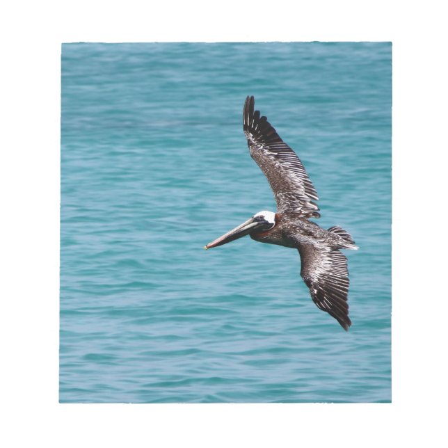 Pelican in flight notepad (Front)