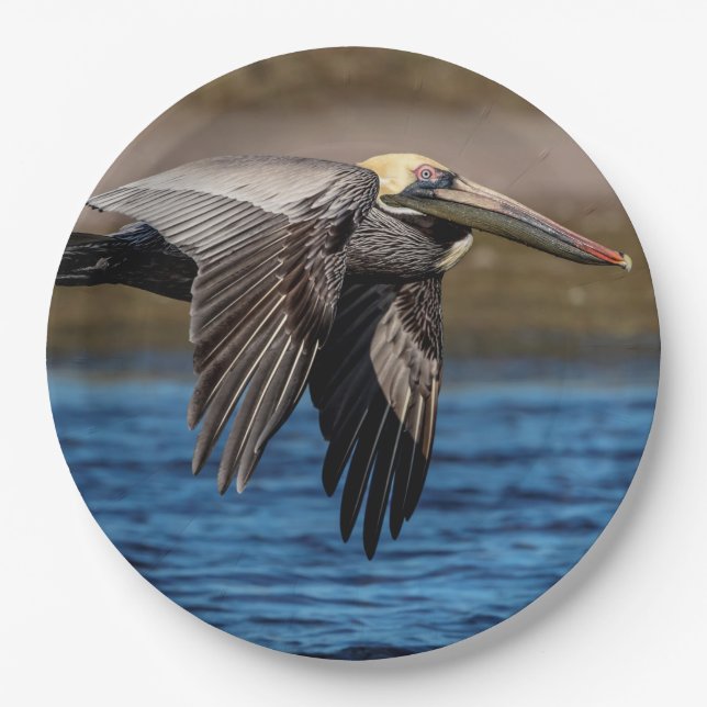 Pelican in flight paper plate (Front)