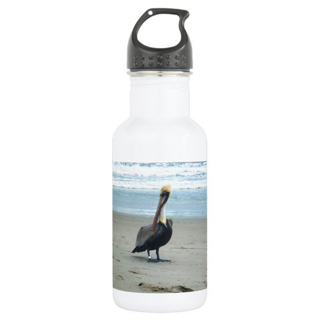 Pelican in Florida 532 Ml Water Bottle (Front)