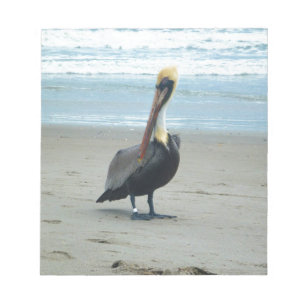 Pelican in Florida Notepad