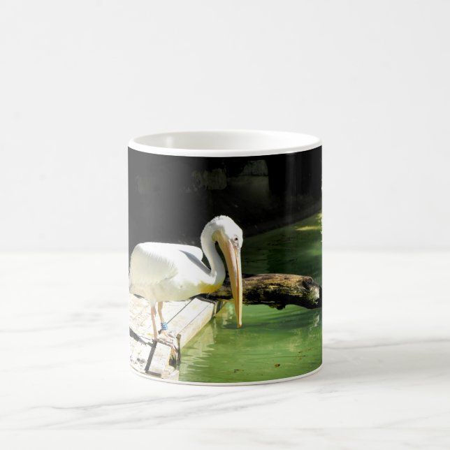 Pelican in Spain Coffee Mug (Center)
