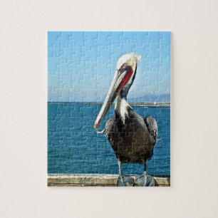 pelican jigsaw puzzle