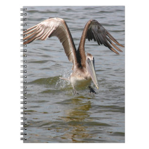 Pelican landing in water Notebook