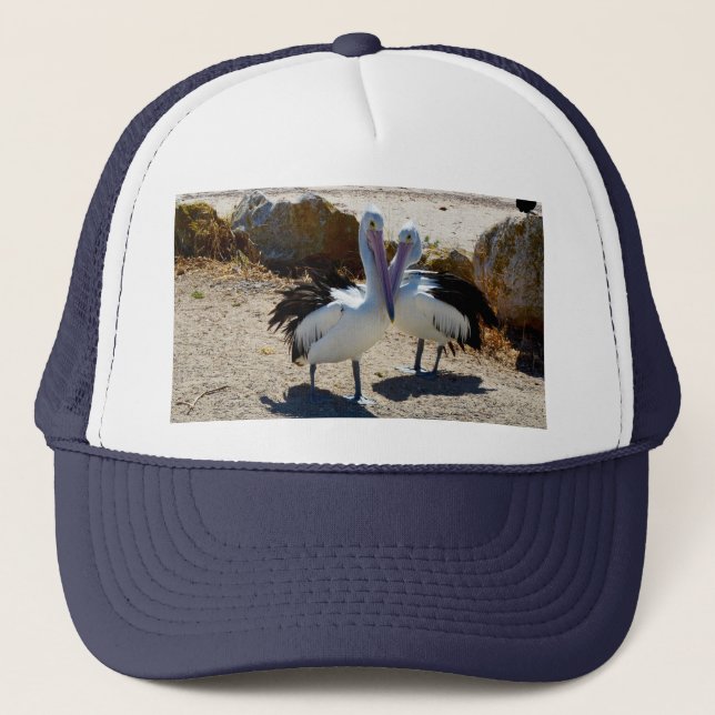 Pelican Love,  Hat (Front)