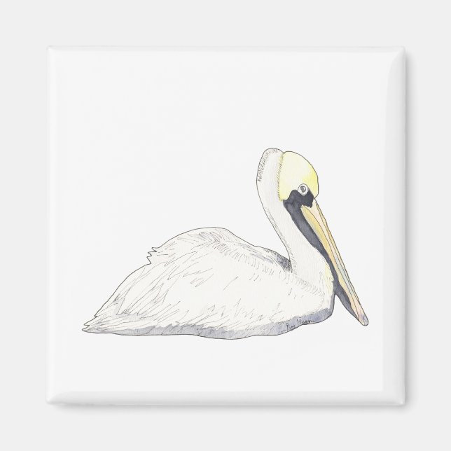 Pelican Magnet (Front)