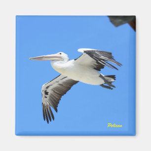 Pelican Magnet