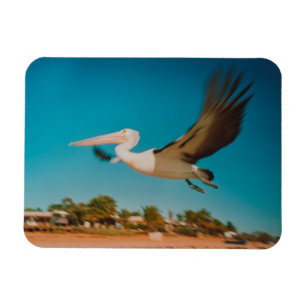 Pelican Magnet