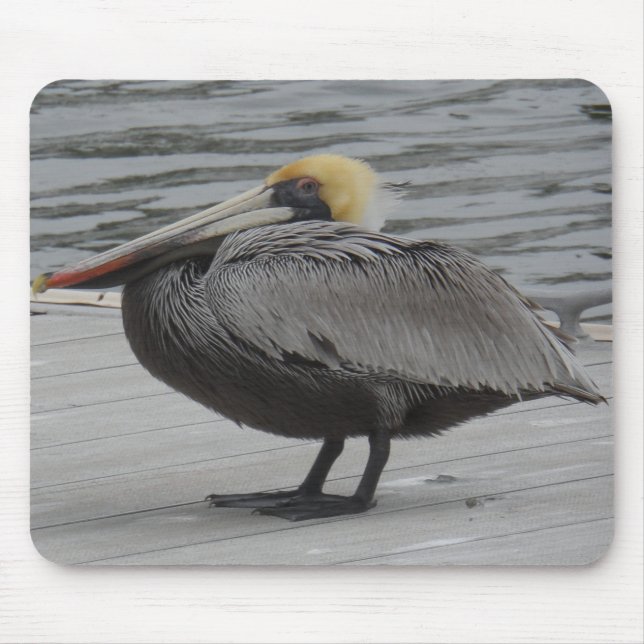 Pelican Mouse Pad (Front)