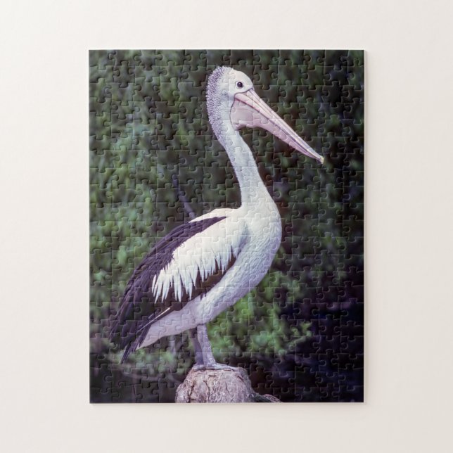 Pelican on a branch, Tasmania - Australia Jigsaw Puzzle (Vertical)