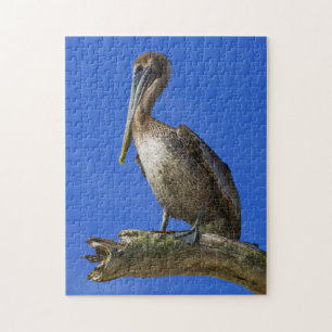 Pelican on a limb jigsaw puzzle