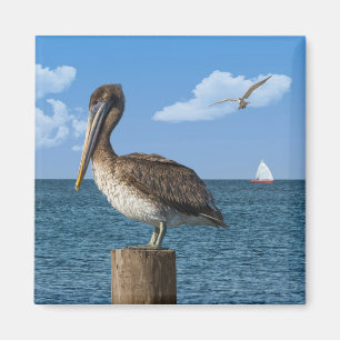 Pelican on a Post Magnet