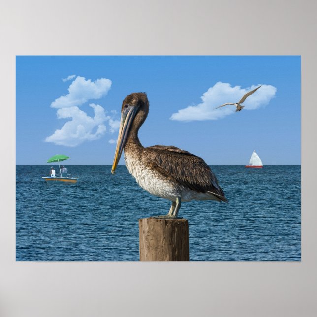 Pelican on a Post Print or Poser (Front)
