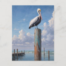 Pelican on a weathered dock pole