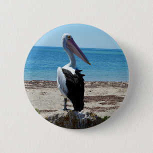 Pelican On Beach Rock, 6 Cm Round Badge
